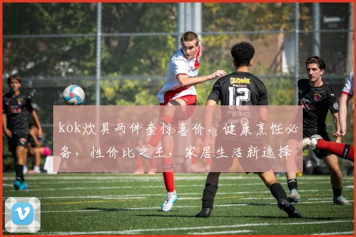 kok炊具两件套惊喜价，健康烹饪必备，性价比之王，家居生活新选择，全场优惠中，速来抢购