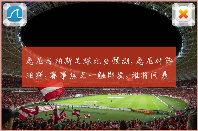 悉尼与珀斯足球比分预测,悉尼对阵珀斯,赛事焦点一触即发,谁将问鼎巅峰